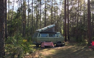 Florida Trail (Green Swamp East)